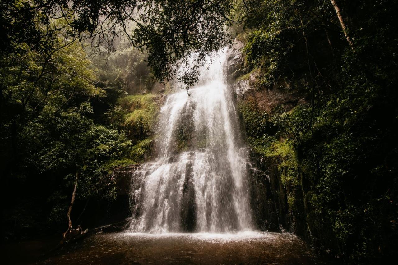 Mount Sheba Rainforest Hotel & Resort Pilgrimʼs Rest Exterior foto